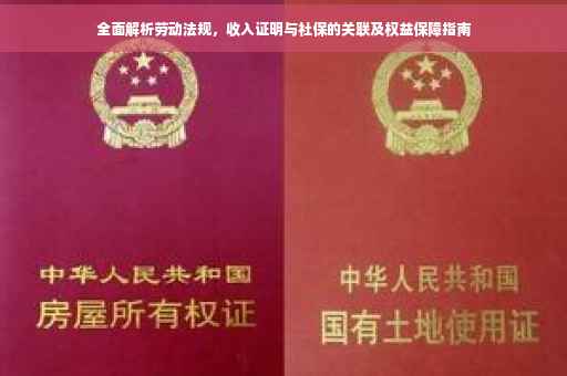 全面解析劳动法规，收入证明与社保的关联及权益保障指南