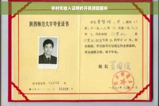 农村无收入证明的开具原因解析