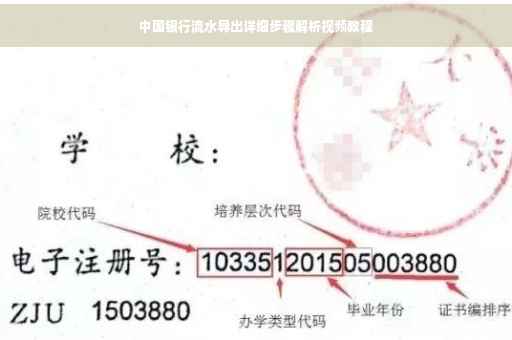 中国银行流水导出详细步骤解析视频教程