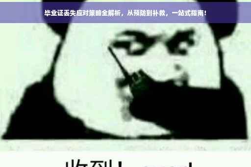 毕业证丢失应对策略全解析，从预防到补救，一站式指南！