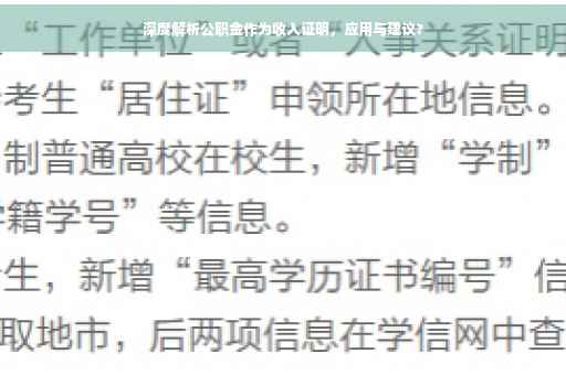 深度解析公职金作为收入证明，应用与建议?