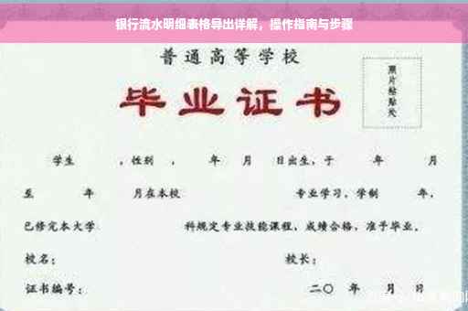 银行流水明细表格导出详解，操作指南与步骤