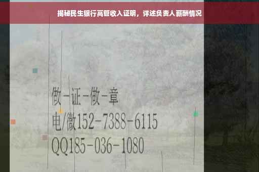 揭秘民生银行高管收入证明，详述负责人薪酬情况