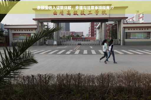 余额宝收入证明详解，步骤与注意事项指南??