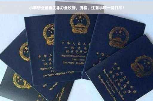 小学毕业证丢失补办全攻略，流程、注意事项一网打尽！