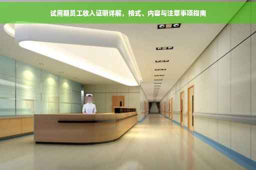 试用期员工收入证明详解，格式、内容与注意事项指南