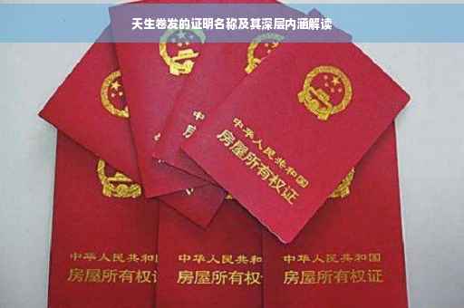 天生卷发的证明名称及其深层内涵解读
