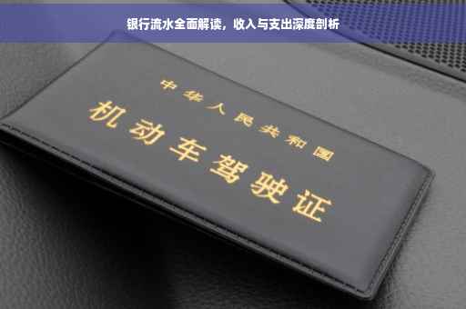 银行流水全面解读，收入与支出深度剖析