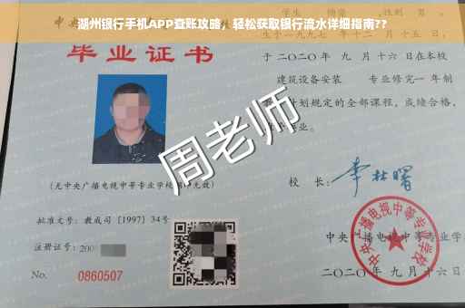 湖州银行手机APP查账攻略，轻松获取银行流水详细指南??