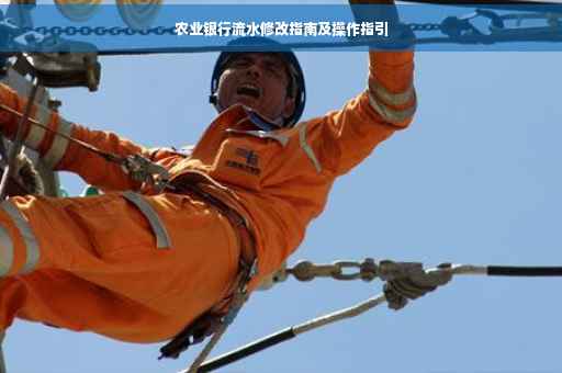 农业银行流水修改指南及操作指引