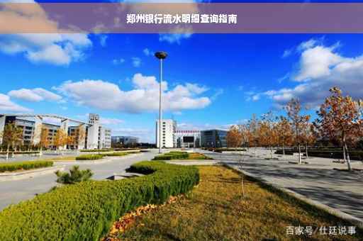 郑州银行流水明细查询指南