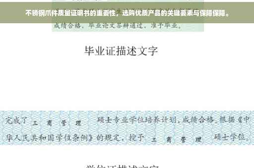 不锈钢爪件质量证明书的重要性，选购优质产品的关键要素与保障保障。