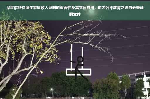 深度解析贫困生家庭收入证明的重要性及其实际应用，助力公平教育之路的必备证明文件