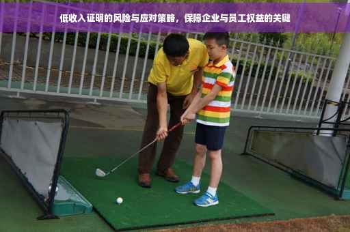 低收入证明的风险与应对策略，保障企业与员工权益的关键