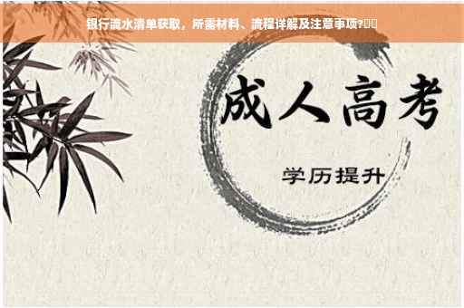 银行流水清单获取，所需材料、流程详解及注意事项?⚡️