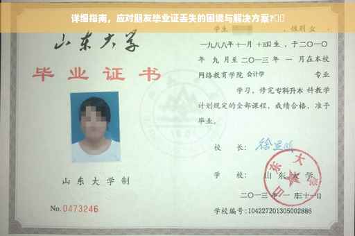 详细指南，应对朋友毕业证丢失的困境与解决方案?⚡️