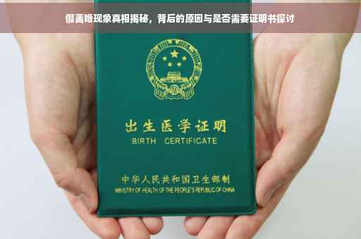 假离婚现象真相揭秘，背后的原因与是否需要证明书探讨