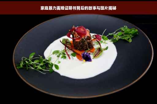 家庭暴力离婚证明书背后的故事与图片揭秘