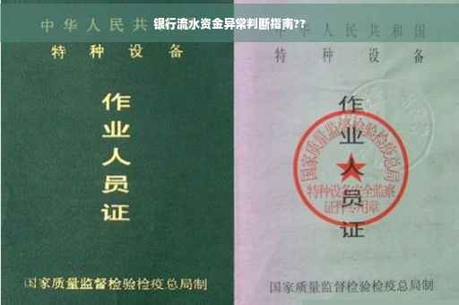 银行流水资金异常判断指南??