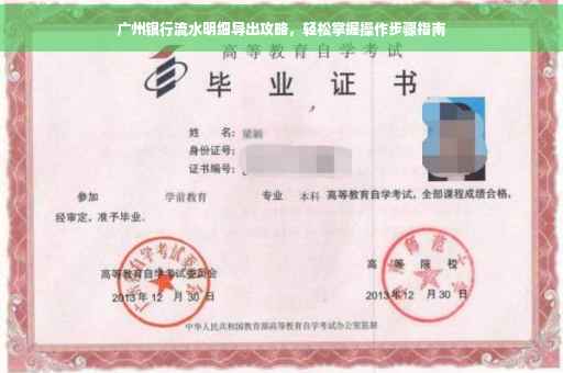 广州银行流水明细导出攻略，轻松掌握操作步骤指南