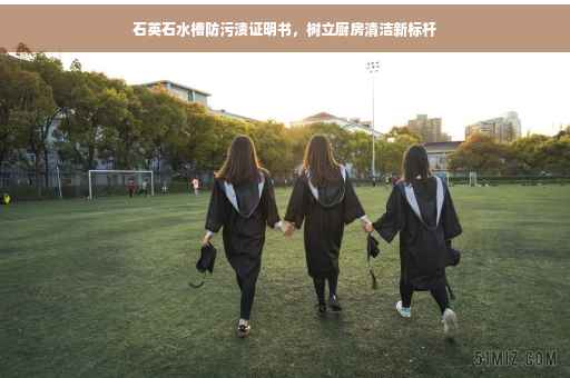 石英石水槽防污渍证明书，树立厨房清洁新标杆