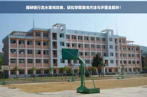 揭秘银行流水查询攻略，轻松掌握查询方法与步骤全解析！