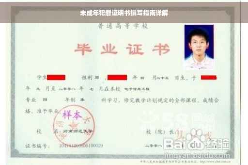 未成年犯罪证明书撰写指南详解