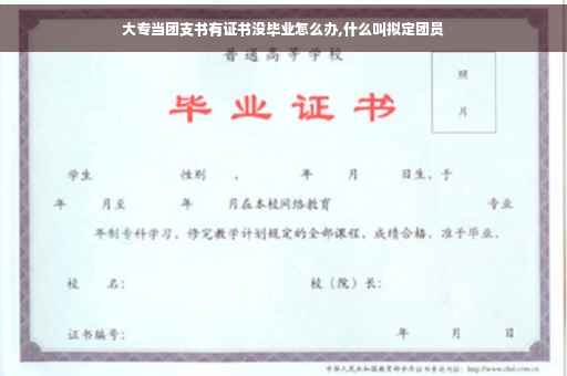 大专当团支书有证书没毕业怎么办,什么叫拟定团员