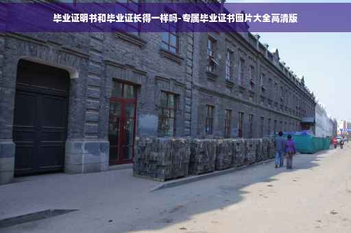 毕业证明书和毕业证长得一样吗-专属毕业证书图片大全高清版