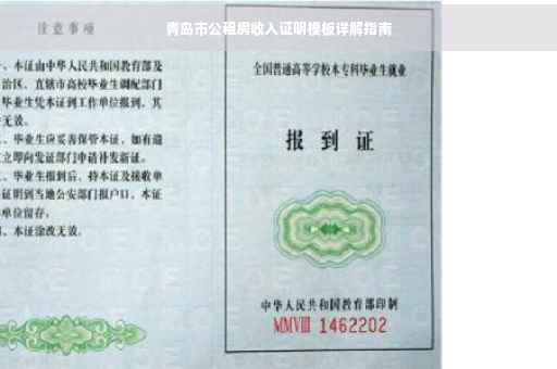 青岛市公租房收入证明模板详解指南