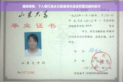 揭秘真相，个人银行流水记录查询与违法犯罪边缘的探讨