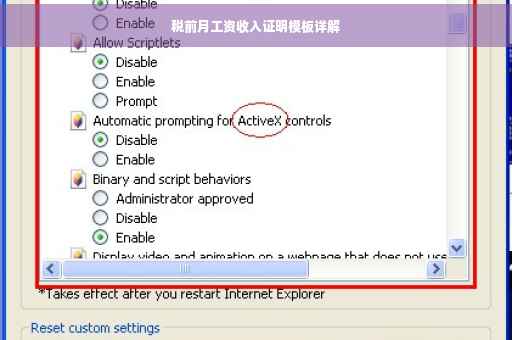 税前月工资收入证明模板详解