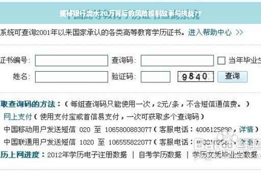 揭秘银行流水20万背后的风险控制故事与挑战??