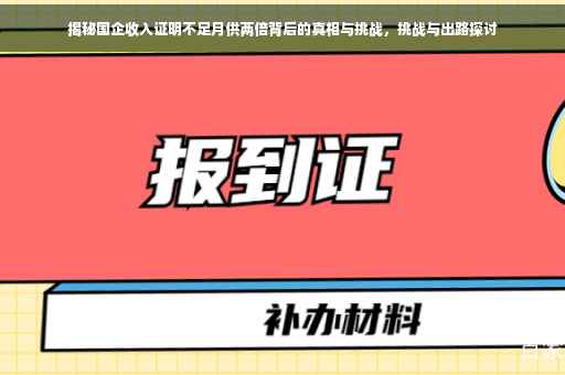 揭秘国企收入证明不足月供两倍背后的真相与挑战，挑战与出路探讨