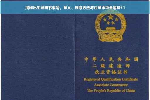 揭秘出生证明书编号，意义、获取方法与注意事项全解析?✨