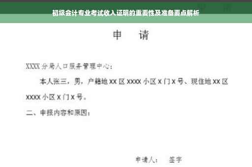 初级会计专业考试收入证明的重要性及准备要点解析