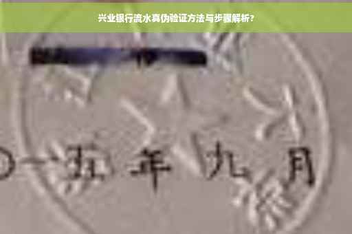 兴业银行流水真伪验证方法与步骤解析?