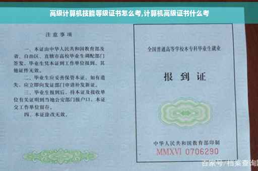高级计算机技能等级证书怎么考,计算机高级证书什么考