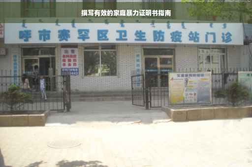 撰写有效的家庭暴力证明书指南