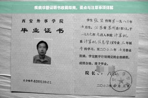 疾病诊断证明书收藏指南，要点与注意事项详解