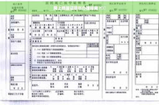 网上档案证明书办理指南 ?⚡️