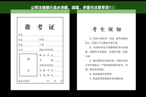 公司注销银行流水详解，流程、步骤与注意事项?⚡️