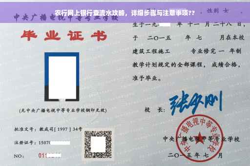 农行网上银行查流水攻略，详细步骤与注意事项??