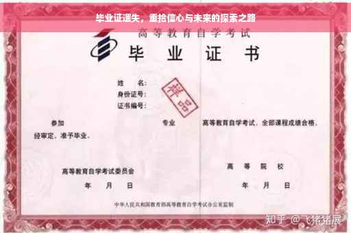 毕业证遗失，重拾信心与未来的探索之路
