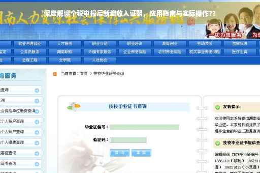 深度解读个税申报后新增收入证明，应用指南与实际操作??
