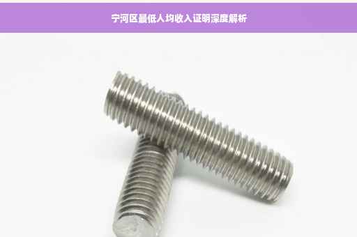 宁河区最低人均收入证明深度解析