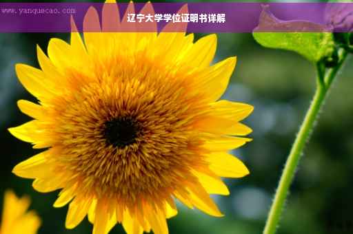 辽宁大学学位证明书详解