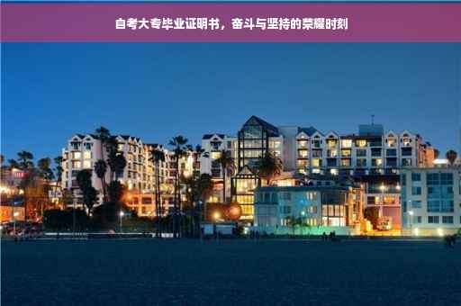 自考大专毕业证明书，奋斗与坚持的荣耀时刻