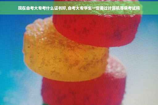 现在自考大专考什么证书好,自考大专学生一定要过计算机等级考试吗