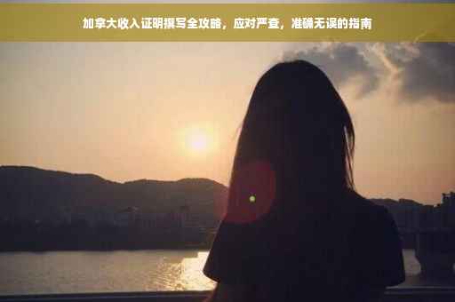 加拿大收入证明撰写全攻略，应对严查，准确无误的指南
